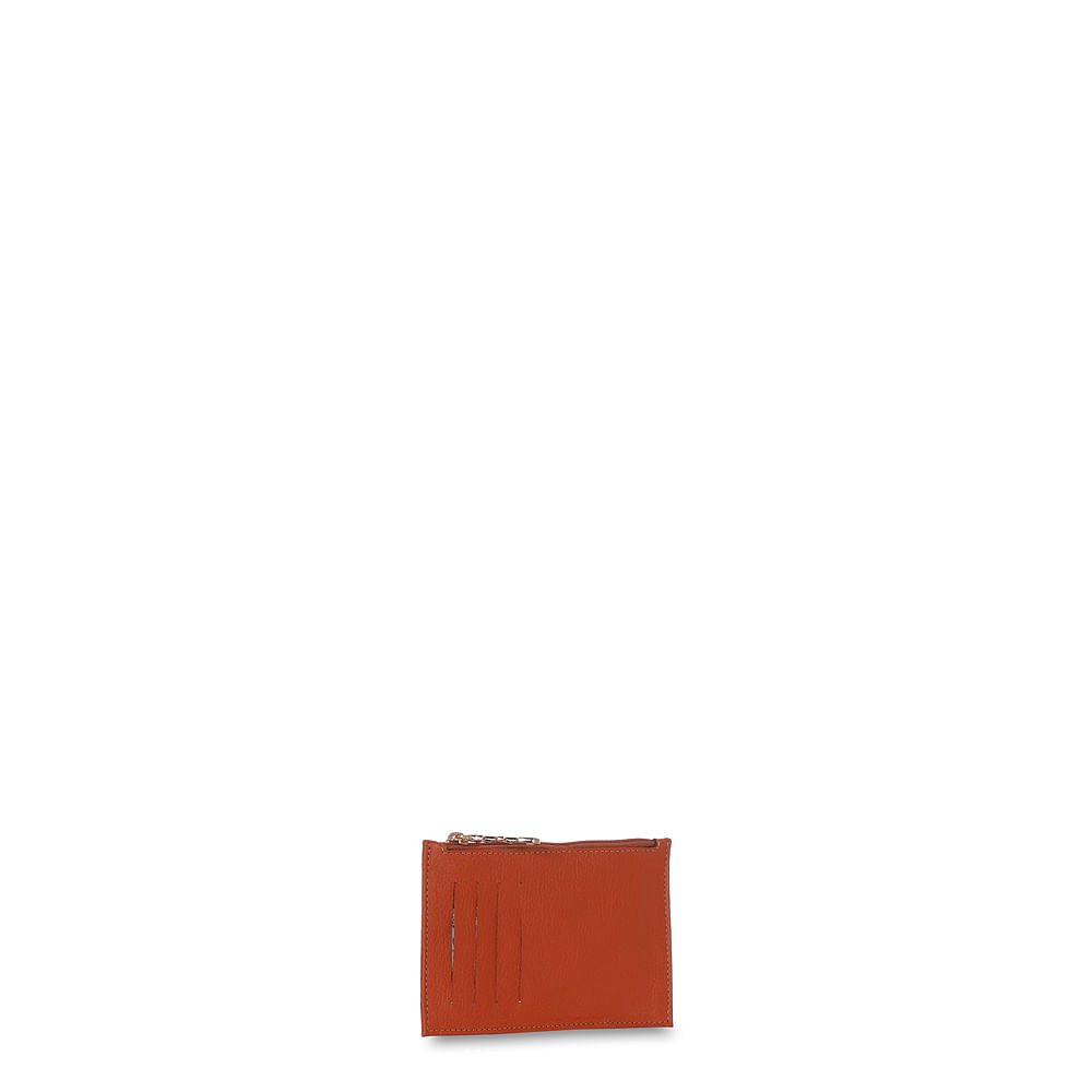 Carteira Porta Cartão