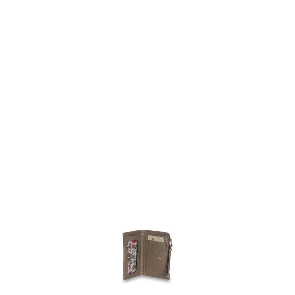 Carteira Porta Cartão