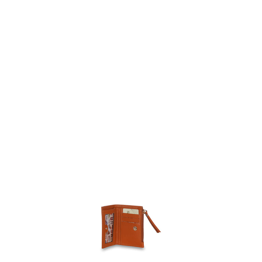 Carteira Porta Cartão