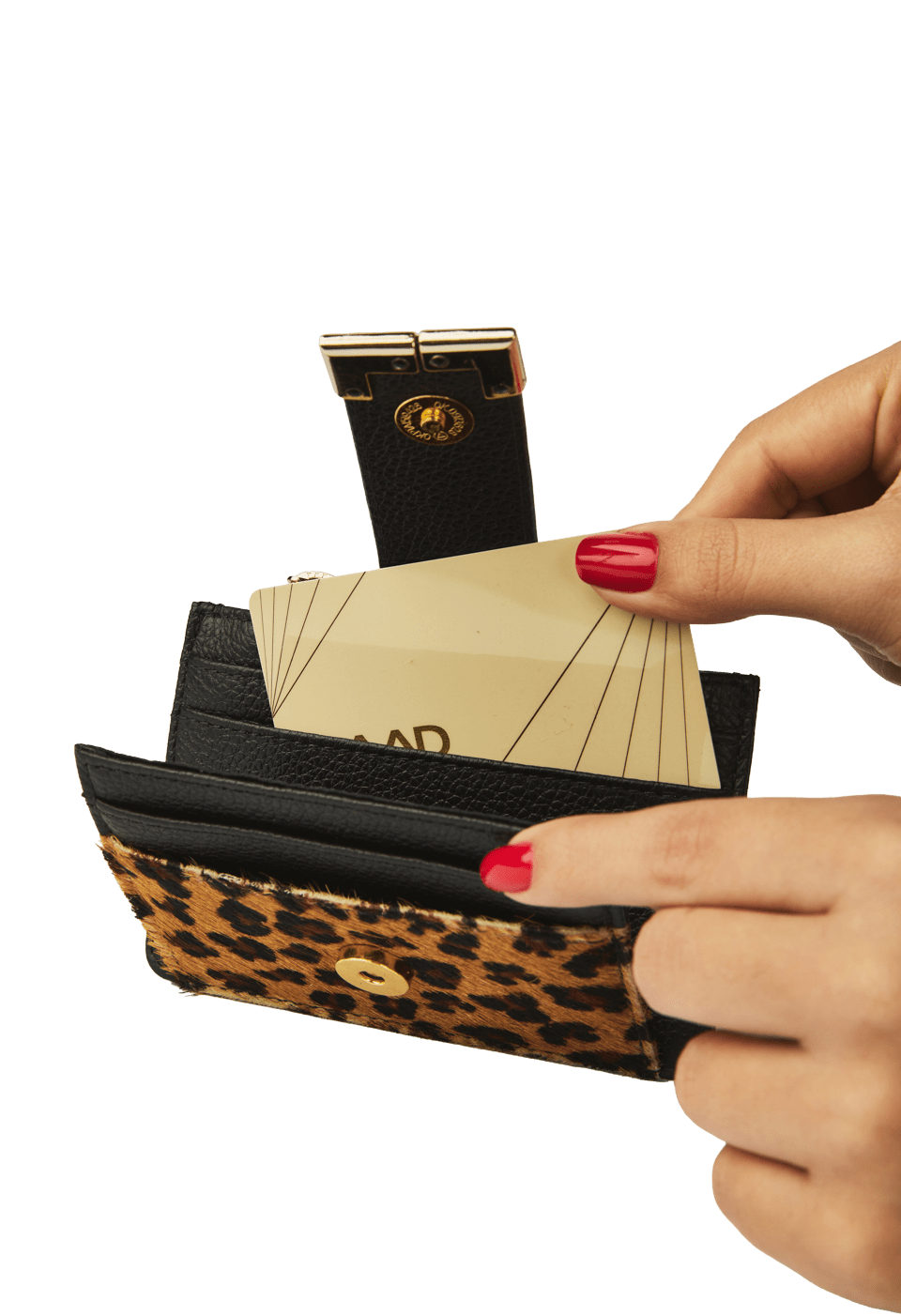Carteira Mini Onça